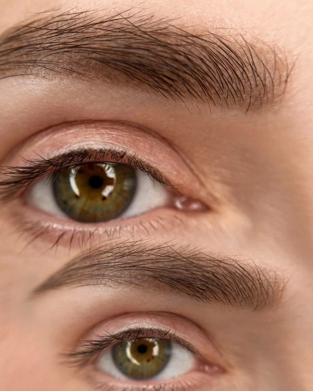 Powder Brows CPD Training Course – Basic Plan | Pigment Lab London